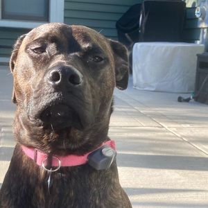 Meet your Posher, Sophia